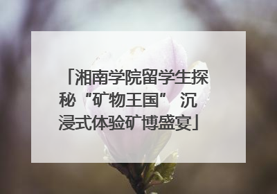 湘南学院留学生探秘“矿物王国” 沉浸式体验矿博盛宴