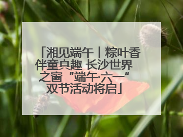 湘见端午丨粽叶香伴童真趣 长沙世界之窗“端午·六一”双节活动将启