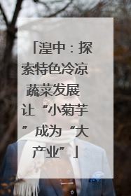 湟中：探索特色冷凉蔬菜发展 让“小菊芋”成为“大产业”