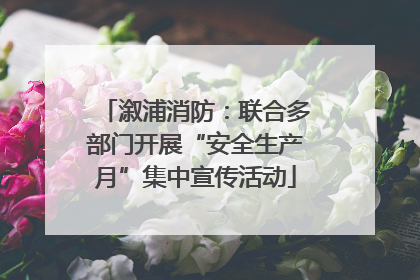溆浦消防：联合多部门开展“安全生产月”集中宣传活动
