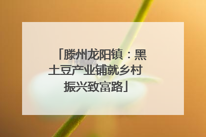 滕州龙阳镇：黑土豆产业铺就乡村振兴致富路