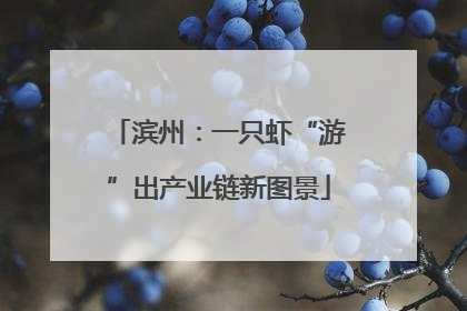 滨州：一只虾“游”出产业链新图景