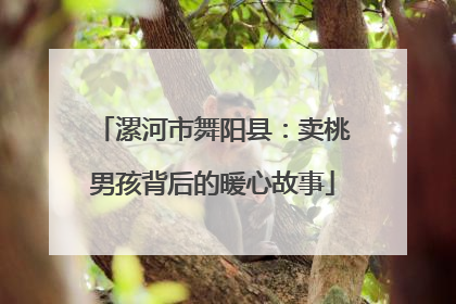 漯河市舞阳县：卖桃男孩背后的暖心故事