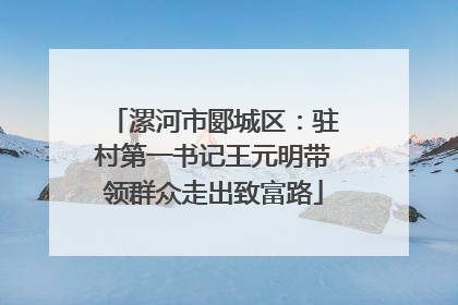 漯河市郾城区：驻村第一书记王元明带领群众走出致富路