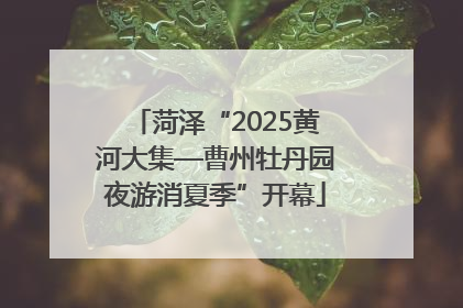 菏泽“2025黄河大集—曹州牡丹园夜游消夏季”开幕