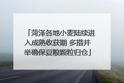 菏泽各地小麦陆续进入成熟收获期 多措并举确保夏粮颗粒归仓