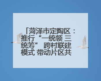 菏泽市定陶区：推行“一统领 三统筹” 跨村联建模式 带动片区共同富裕
