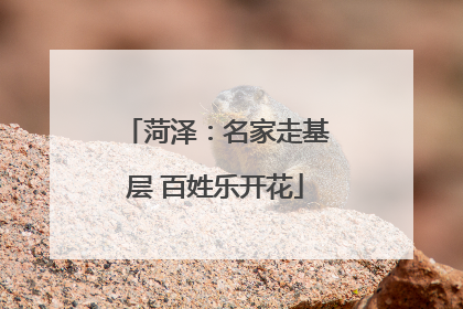 菏泽：名家走基层 百姓乐开花