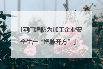 荆门消防为加工企业安全生产“把脉开方”
