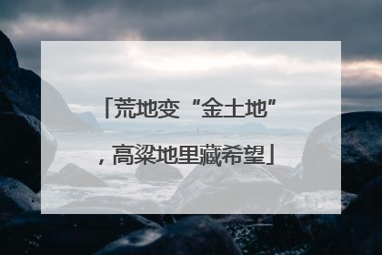 荒地变“金土地”，高粱地里藏希望