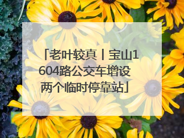 老叶较真丨宝山1604路公交车增设两个临时停靠站