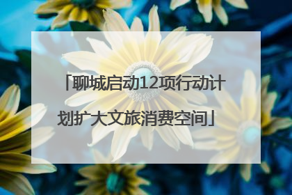 聊城启动12项行动计划扩大文旅消费空间