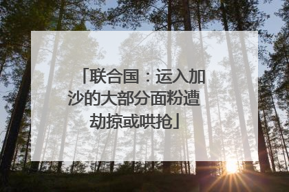 联合国：运入加沙的大部分面粉遭劫掠或哄抢