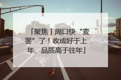 聚焦丨周口快“麦罢”了！收成好于上年、品质高于往年