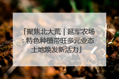 聚焦北大荒｜延军农场：特色种植带旺多元业态 土地焕发新活力