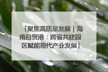 聚焦高质量发展｜海南自贸港：跨省共建园区赋能现代产业发展