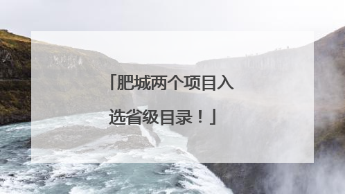 肥城两个项目入选省级目录！