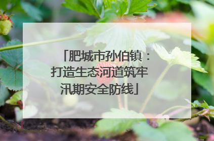 肥城市孙伯镇：打造生态河道筑牢汛期安全防线