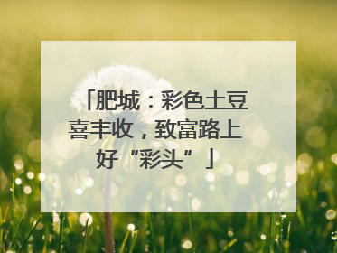 肥城：彩色土豆喜丰收，致富路上好“彩头”