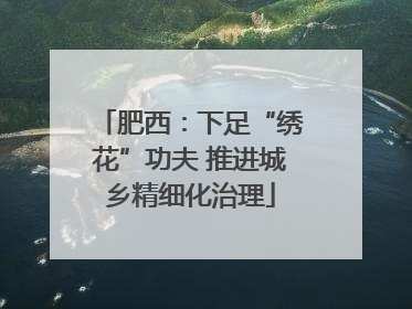 肥西：下足“绣花”功夫 推进城乡精细化治理