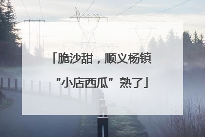 脆沙甜，顺义杨镇“小店西瓜”熟了