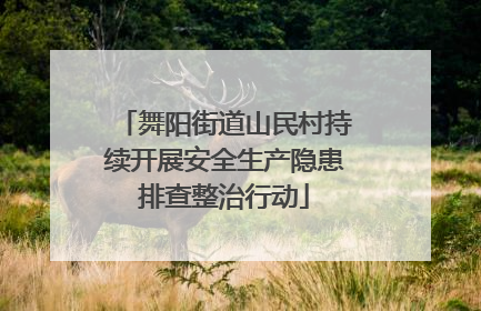 舞阳街道山民村持续开展安全生产隐患排查整治行动