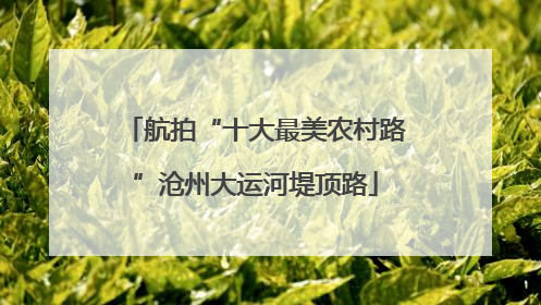 航拍“十大最美农村路”沧州大运河堤顶路
