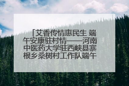 艾香传情惠民生 端午安康驻村情——河南中医药大学驻西峡县寨根乡桑树村工作队端午中医惠民记