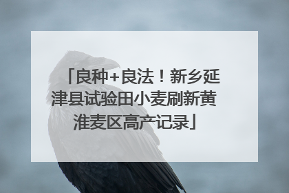良种+良法！新乡延津县试验田小麦刷新黄淮麦区高产记录
