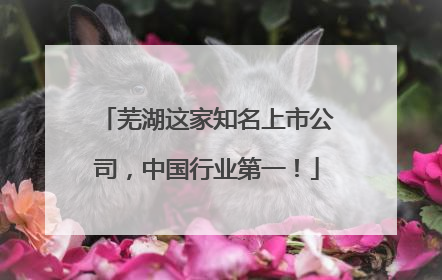 芜湖这家知名上市公司，中国行业第一！