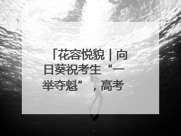 花容悦貌｜向日葵祝考生“一举夺魁”，高考带动鲜花热潮