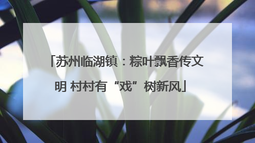 苏州临湖镇：粽叶飘香传文明 村村有“戏”树新风