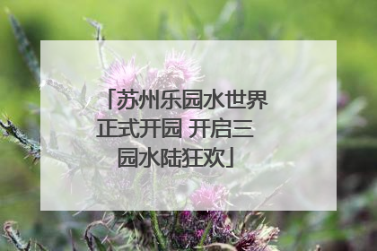 苏州乐园水世界正式开园 开启三园水陆狂欢