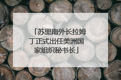 苏里南外长拉姆丁正式出任美洲国家组织秘书长
