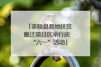 茶陵县易地扶贫搬迁项目区举行庆“六一”活动