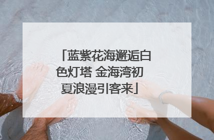 蓝紫花海邂逅白色灯塔 金海湾初夏浪漫引客来