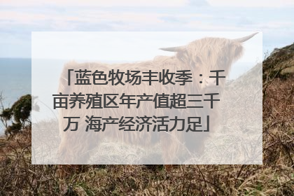 蓝色牧场丰收季：千亩养殖区年产值超三千万 海产经济活力足