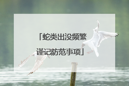 蛇类出没频繁 谨记防范事项