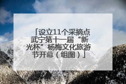 设立11个采摘点 武宁第十一届“新光杯”杨梅文化旅游节开幕（组图）