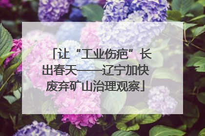 让“工业伤疤”长出春天——辽宁加快废弃矿山治理观察