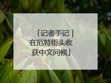 记者手记｜在厄特街头收获中文问候