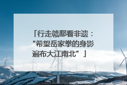 行走赣鄱看非遗：“希望岳家拳的身影遍布大江南北”