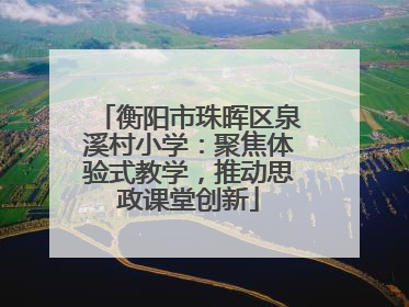 衡阳市珠晖区泉溪村小学：聚焦体验式教学，推动思政课堂创新