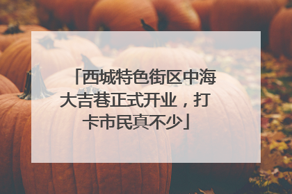 西城特色街区中海大吉巷正式开业，打卡市民真不少