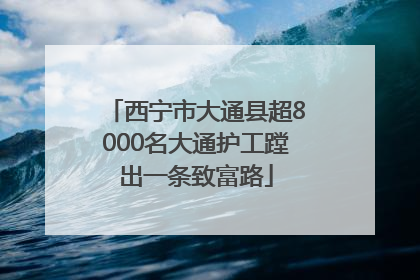 西宁市大通县超8000名大通护工蹚出一条致富路