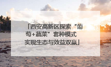 西安高新区探索“葡萄+蔬菜”套种模式 实现生态与效益双赢