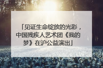 见证生命绽放的光彩，中国残疾人艺术团《我的梦》在沪公益演出