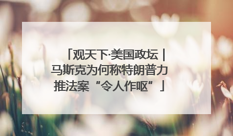 观天下·美国政坛｜马斯克为何称特朗普力推法案“令人作呕”
