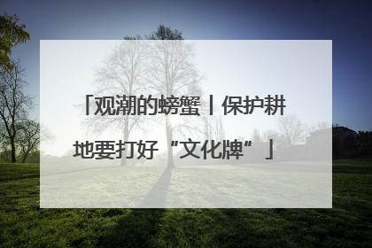 观潮的螃蟹丨保护耕地要打好“文化牌”