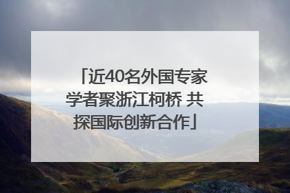 近40名外国专家学者聚浙江柯桥 共探国际创新合作